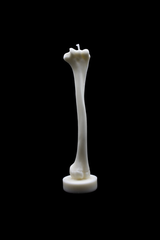 Femur Candle Stick