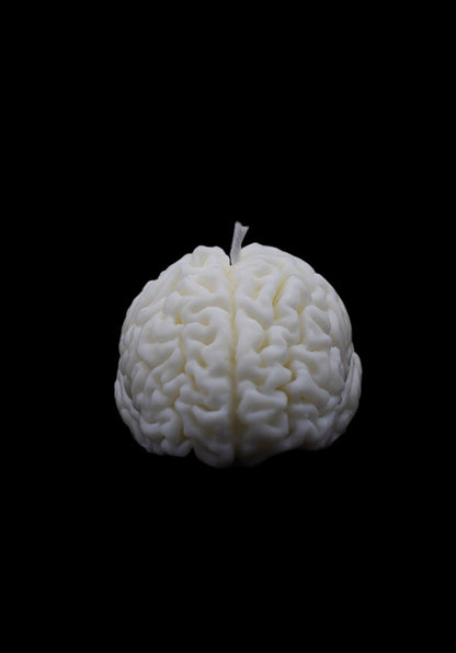 Look at the Brain on Rebel