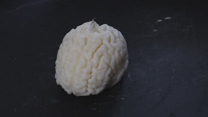 Look at the Brain on Rebel